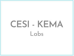 CESI-KEMA